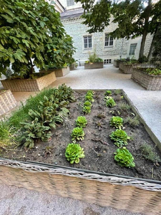 Au Jardin De La Basilique Boulogne-sur-Mer Exterior foto